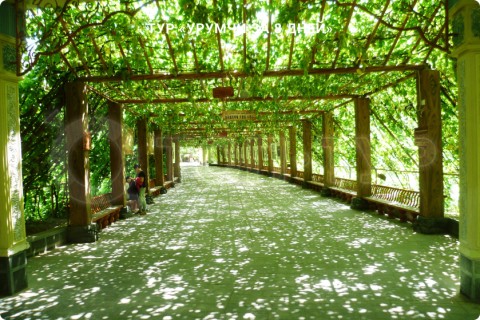 УРУМЧИ ЗА 8 ДНЕЙ