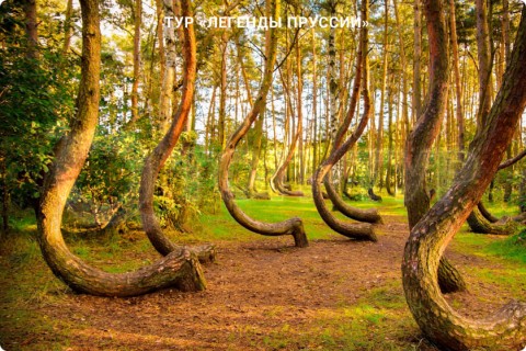 ЛЕГЕНДЫ ПРУССИИ