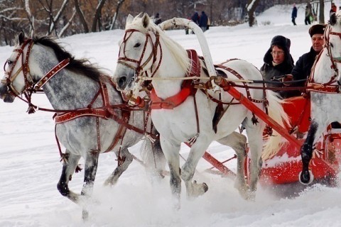 НОВОГОДНИЕ ПРАЗДНИКИ В ДУДТКАХ