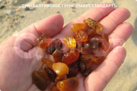 БАЛТИЙСКОЕ ТУРНЕ. МУЗЕИ, КУРОРТЫ И СВОБОДНЫЕ ДНИ