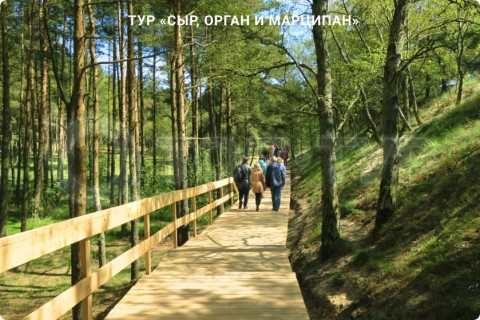 СЫР, ОРГАН И МАРЦИПАН. ФАБРИКА ШОКОЛАДА И КАЛИНИНГРАД