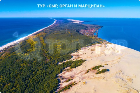 СЫР, ОРГАН И МАРЦИПАН. ФАБРИКА ШОКОЛАДА И КАЛИНИНГРАД