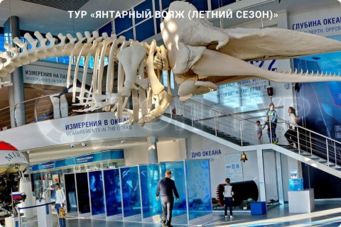 ЯНТАРНЫЙ ВОЯЖ. 10 ГОРОДОВ КАЛИНИНГРАДСКОЙ ОБЛАСТИ