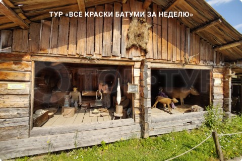 ВСЕ КРАСКИ БАТУМИ ЗА НЕДЕЛЮ. ПУТЕШЕСТВИЕ ПО ГОРОДАМ ГРУЗИИ